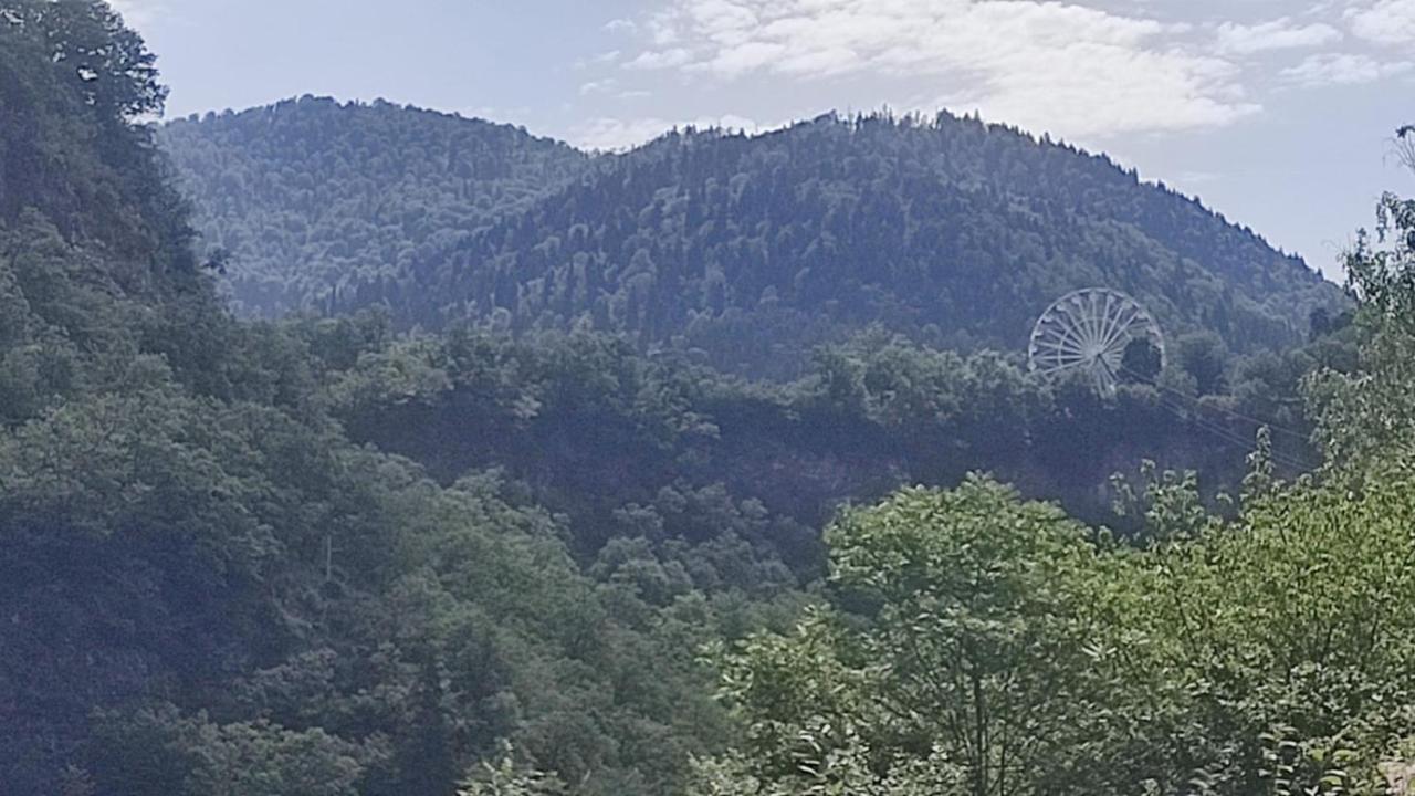 Отель Borjomi Nest Экстерьер фото