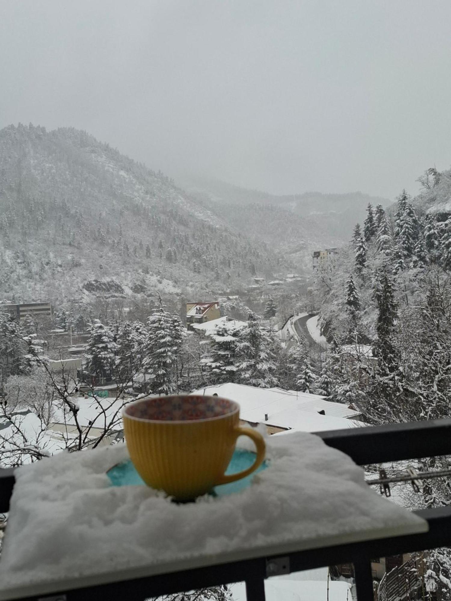 Отель Borjomi Nest Экстерьер фото